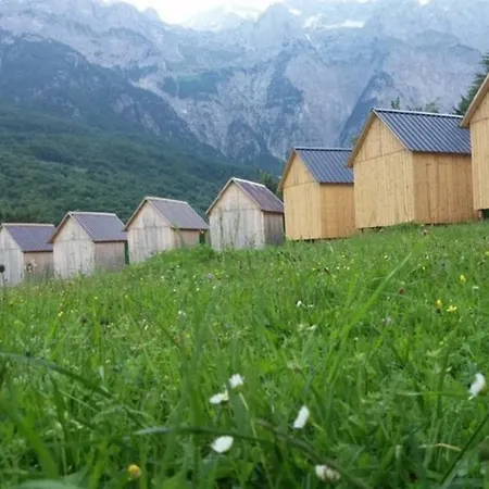 Dede Kola * Shkoder