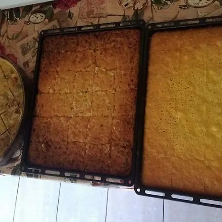 Dede Kola Shkoder