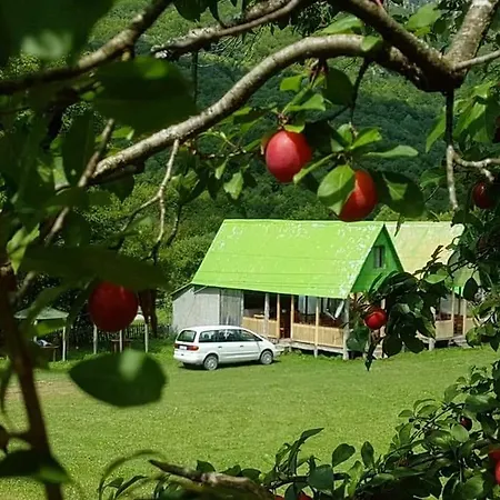 Dede Kola Guest house Shkoder